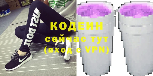 молекула духа Бронницы