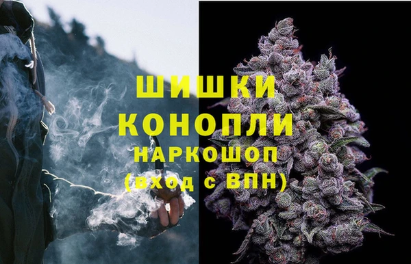 молекула духа Бронницы