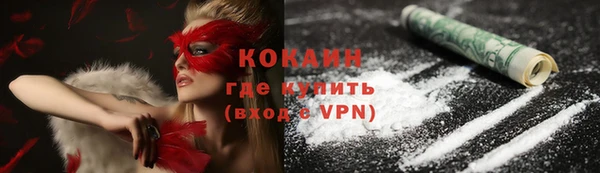 молекула духа Бронницы