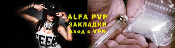 молекула духа Бронницы