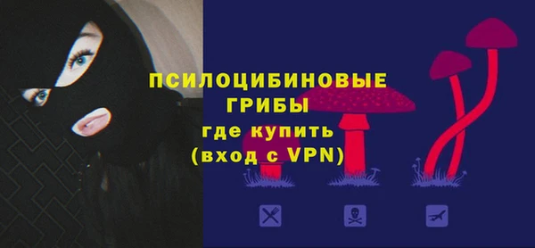 соль курить ск Бородино
