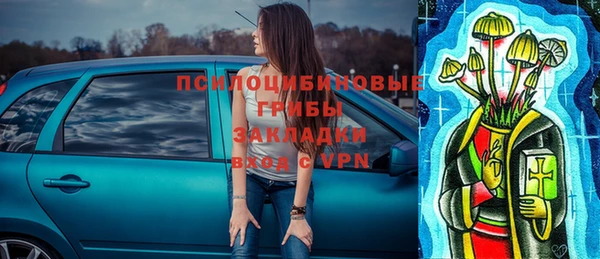 молекула духа Бронницы