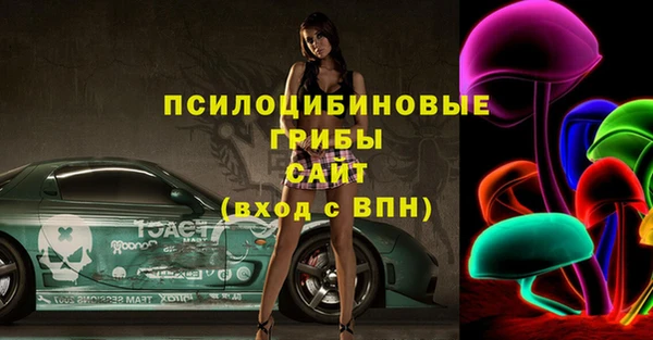 молекула духа Бронницы