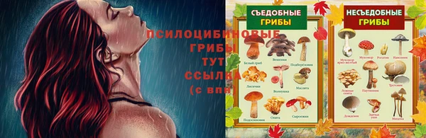 таблы Бугульма