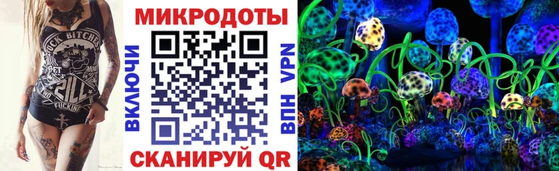 Псилоцибиновые грибы Psilocybine cubensis  купить наркотики цена  Ахтырский 